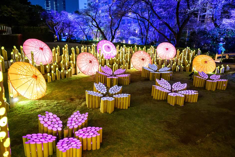 花びらの形がかわいい「桜の竹あかりライトアップ」