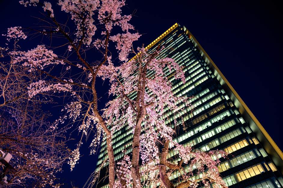 赤坂Bizタワーは地上39階建てのオフィス＆商業ビル