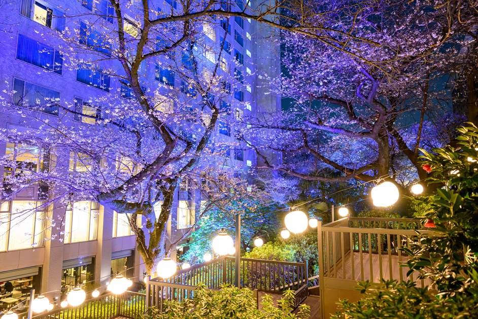 イベントの詳細などは「高輪 桜まつり2026」の公式サイトをチェック