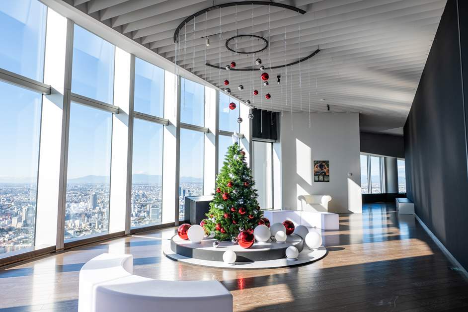The Christmas tree that adorns the observation area