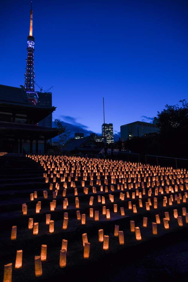 「東京タワー百景」 定番スポットからライトアップの絶景まで、おすすめ撮影ポイントを総まとめ
