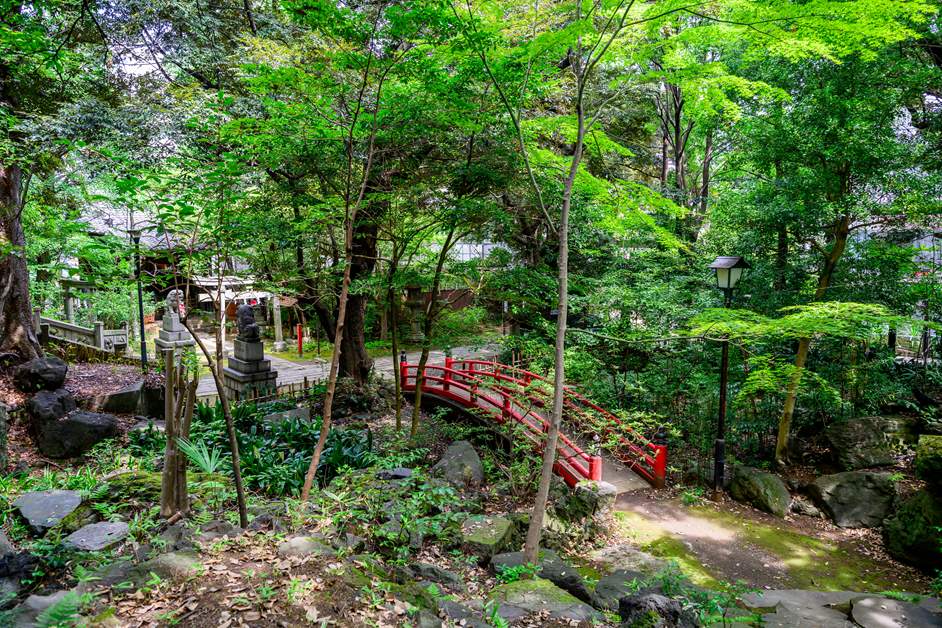 The temple grounds, lush with trees