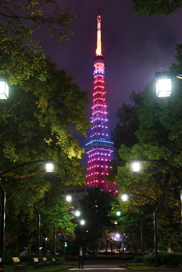 「東京タワー百景」 定番スポットからライトアップの絶景まで、おすすめ撮影ポイントを総まとめ