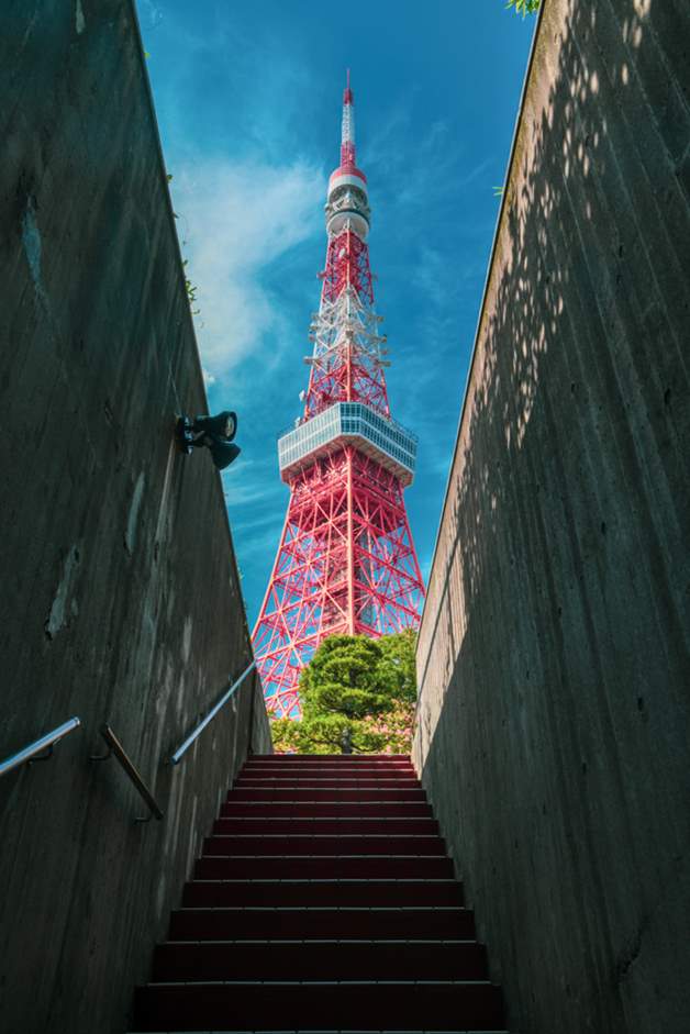 「東京タワー百景」 定番スポットからライトアップの絶景まで、おすすめ撮影ポイントを総まとめ