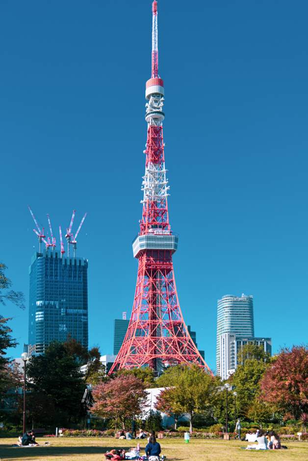 「東京タワー百景」 定番スポットからライトアップの絶景まで、おすすめ撮影ポイントを総まとめ