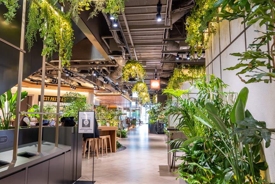 飾られている植物は本物