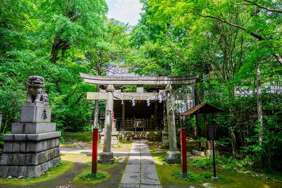 The Shigō Inari Shrine, formed in Meiji 31 (1898) by the consolidation of four Inari shrines, and its komainu