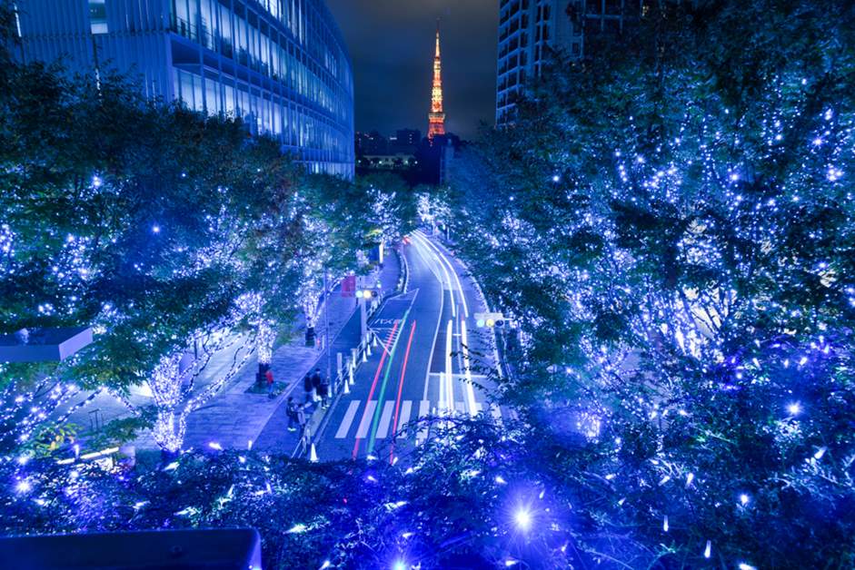 「東京タワー百景」 定番スポットからライトアップの絶景まで、おすすめ撮影ポイントを総まとめ