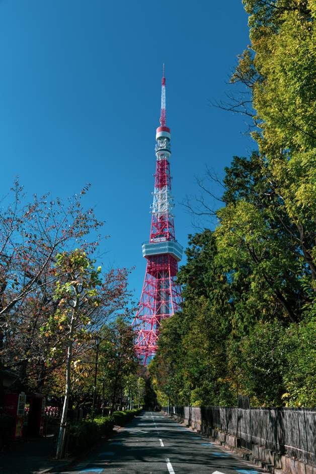「東京タワー百景」 定番スポットからライトアップの絶景まで、おすすめ撮影ポイントを総まとめ