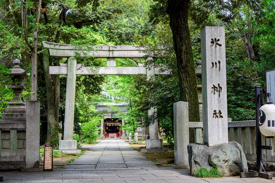 What Is the Bond Between Akasaka Hikawa Shrine and the Local Community? The Wishes Embodied in the “Akasaka Hikawa Festival,” Featuring Processions of Shrine Portables and Edo-Style Floats