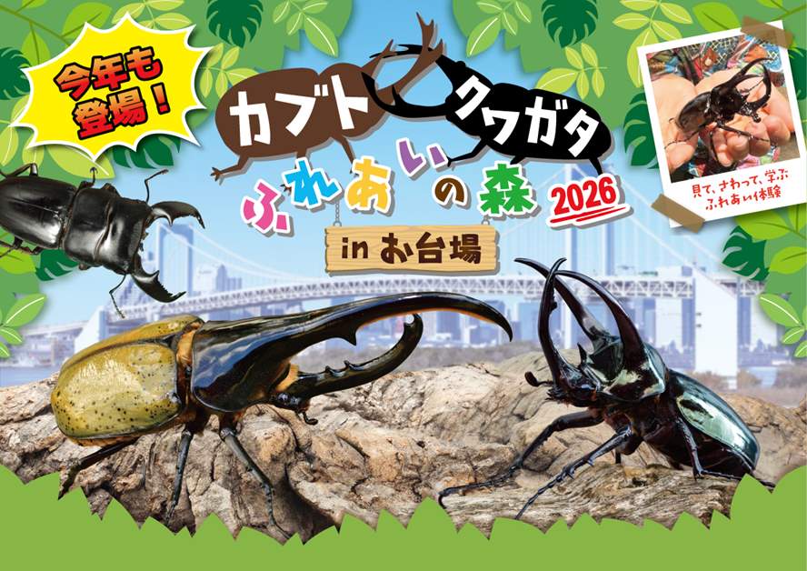 "Rhinoceros Beetle and Stag Beetle Interaction Forest in Odaiba 2026"